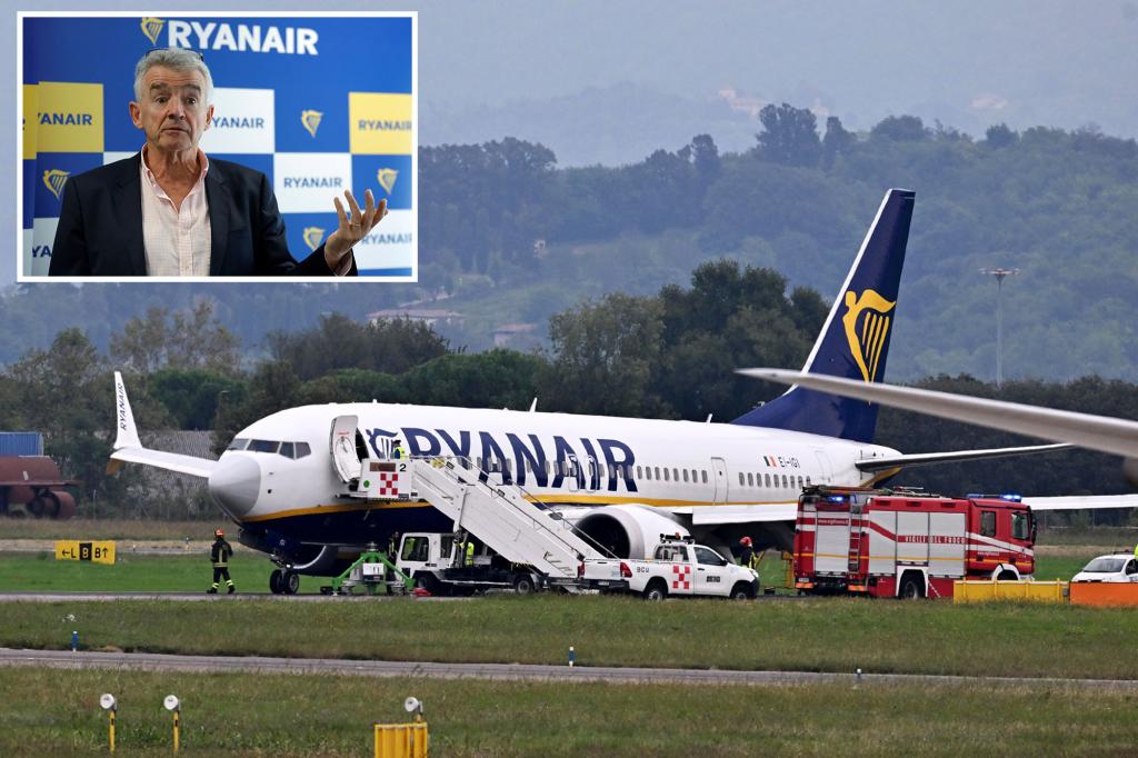 Passengers' urination causes in-flight chaos - and flight crew forced to divert plane