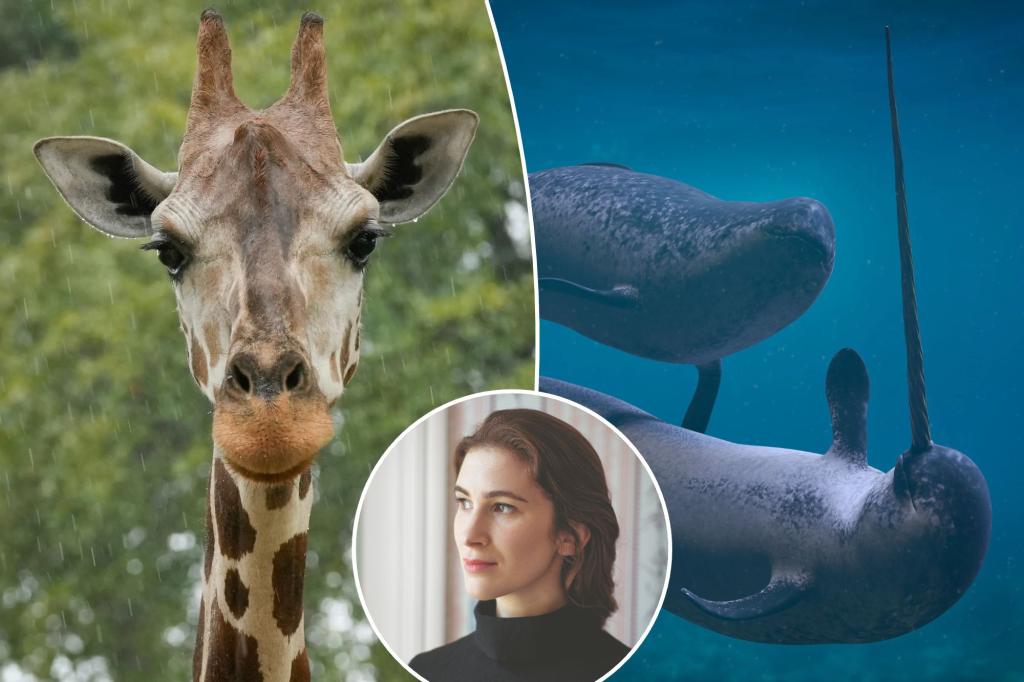 Relationships with giraffes, toxic whales and more: A new book digs deep into the ephemera of the animal kingdom